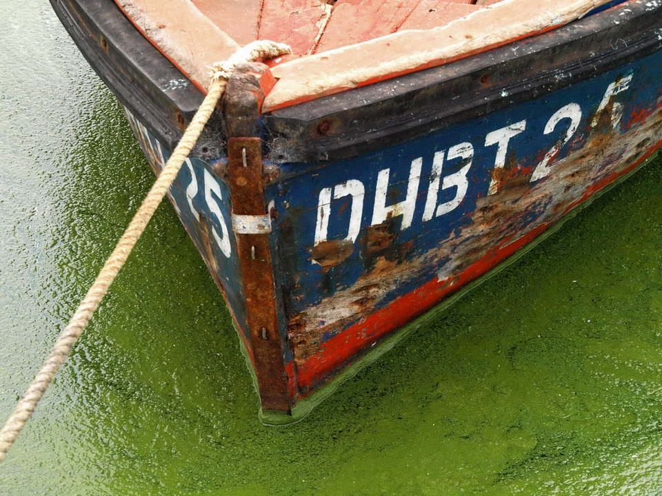 Texturas de agua verde — detalle por PuntaPress